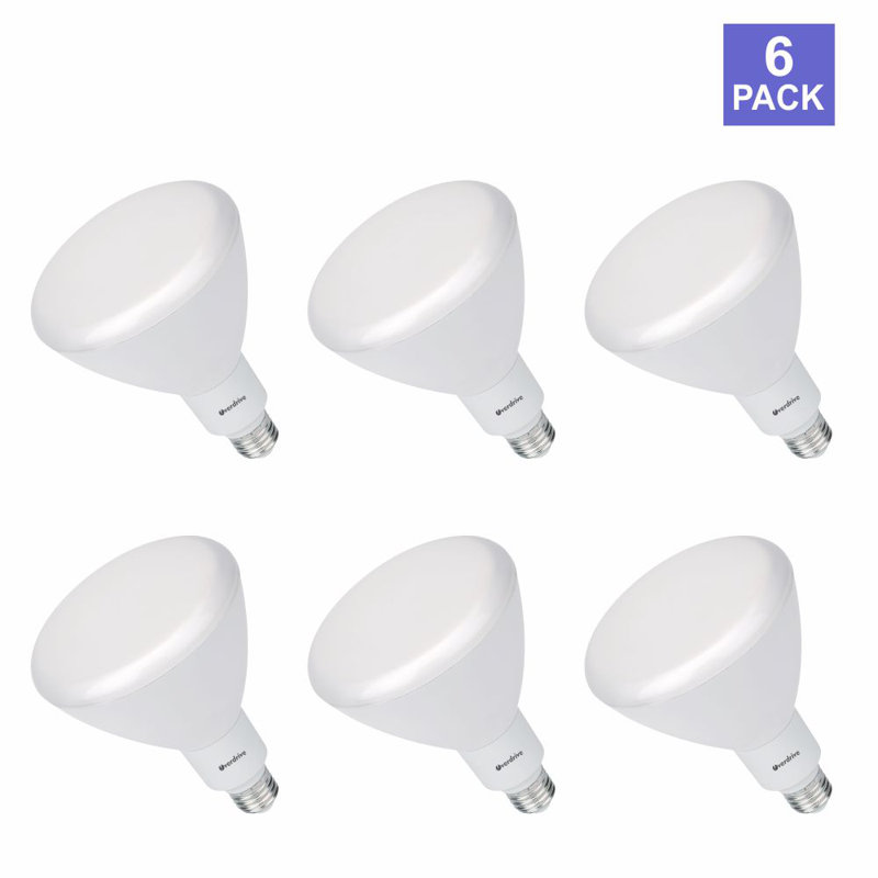 17 W BR40 E26/Medium (Standard) 2700 K Smart Bulb