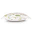 Carlotta Sham-38350996