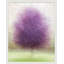 Purpurea by Laura Zimmerman - Framed Wall Art-2100686001-2100686006