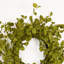 Couronne de 24 po-1943781501