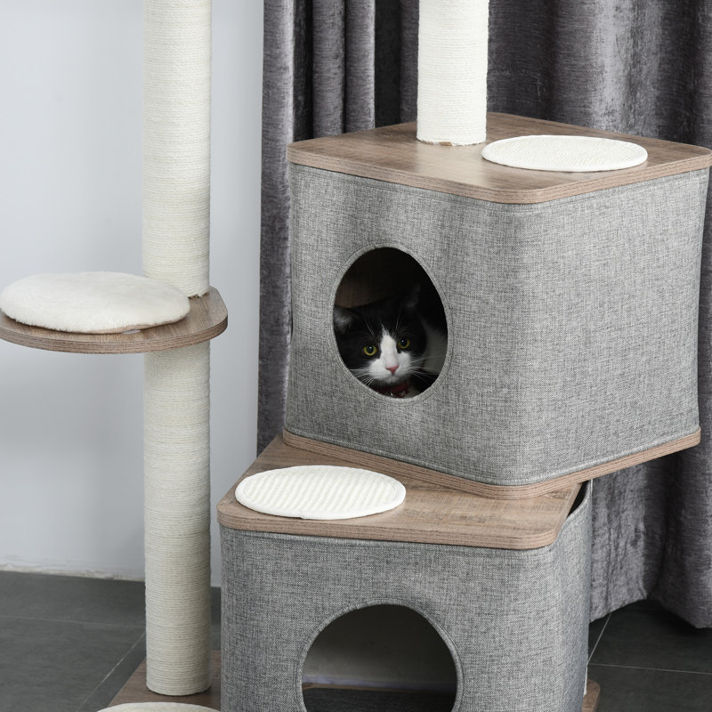 Dilley 44'' H Cat Tree