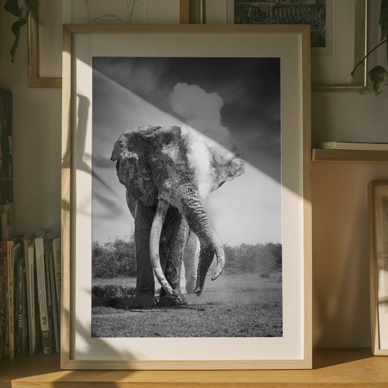 Wrapped Canvas Print, 91.44 cm H x 60.96 cm W