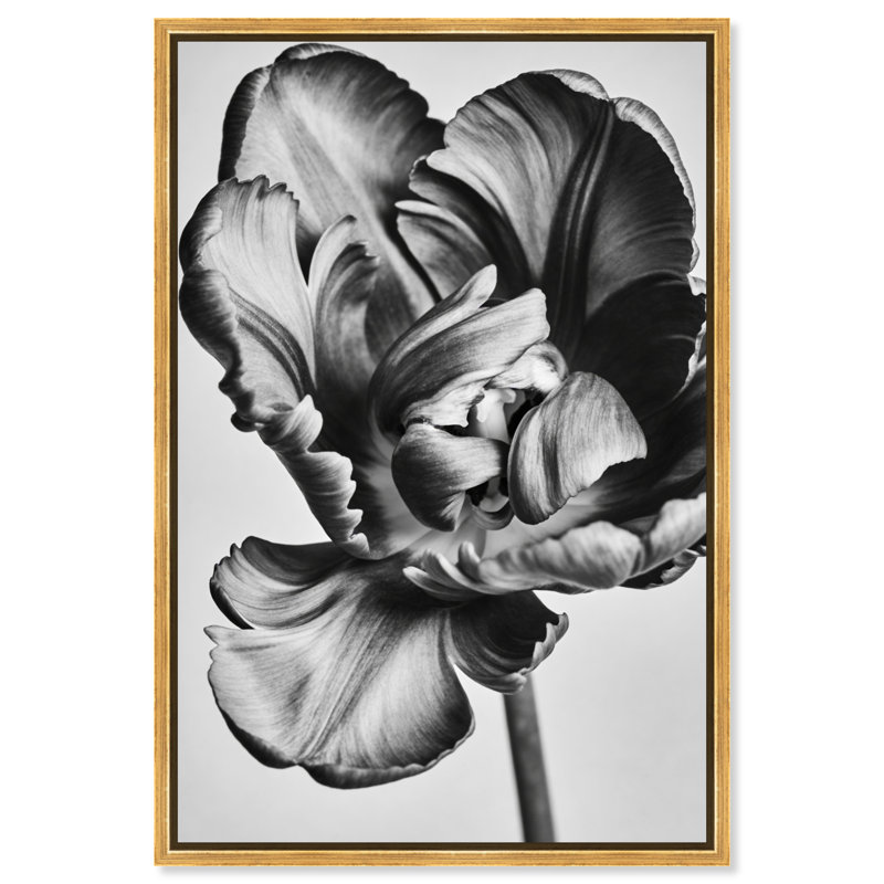 Graphite Flower Print by Oliver Gal, 16" H x 11" W, Gold Floater Frame