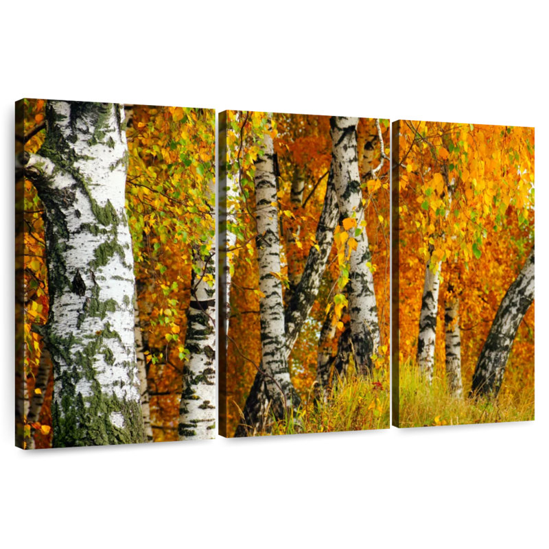 Harnek White Birch Tree Trunk, 36" H x 57" W