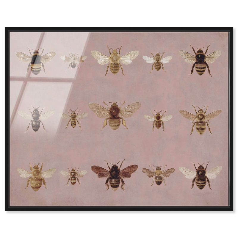Décoration murale encadrée «Honeyed Script II» par Art Remedy, cadre noir, 24 x 20, 25"H x 21"W, Black Frame