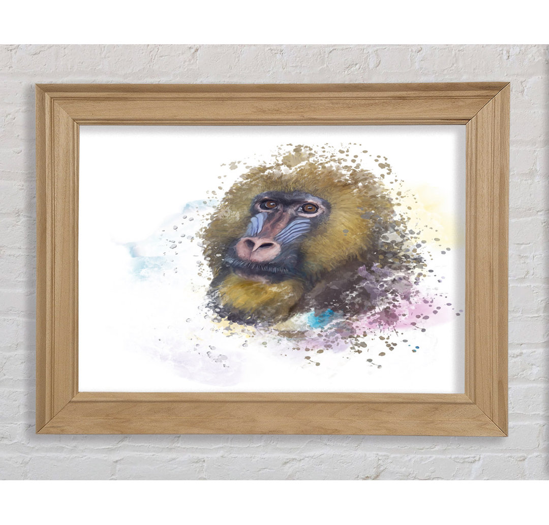 Mandrill Watercolour Splash - Einzelner Bilderrahmen Kunstdrucke