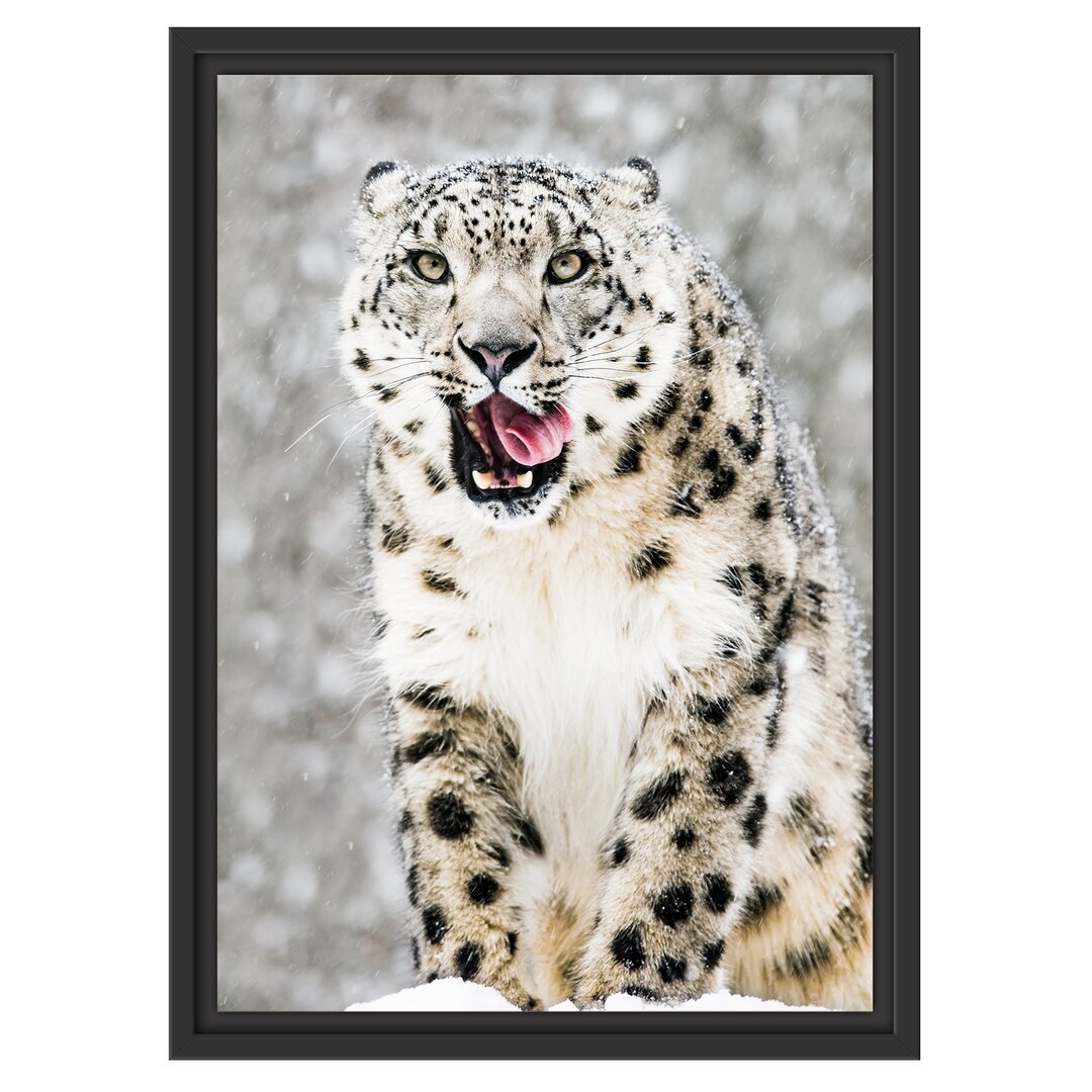 Gerahmtes Wandbild LeopardSchnee