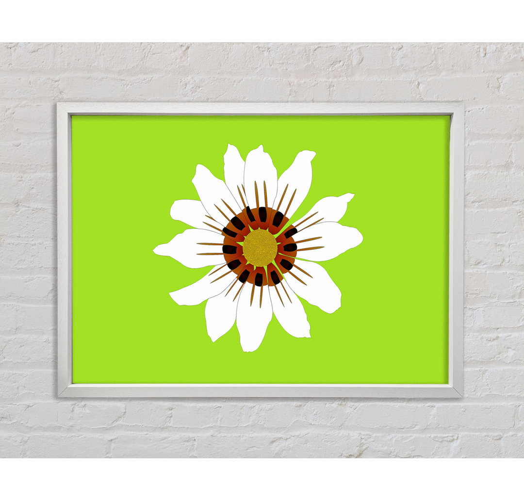 White Daisy Greens Gerahmter Druck