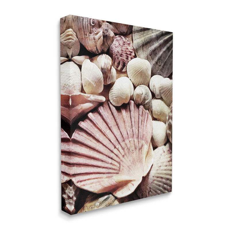 "Stacked Coastal Seashells", art mural sur toile par Ashley Aldridge, H 30 po x l 24 po x P 1,5 po, Toile tendue