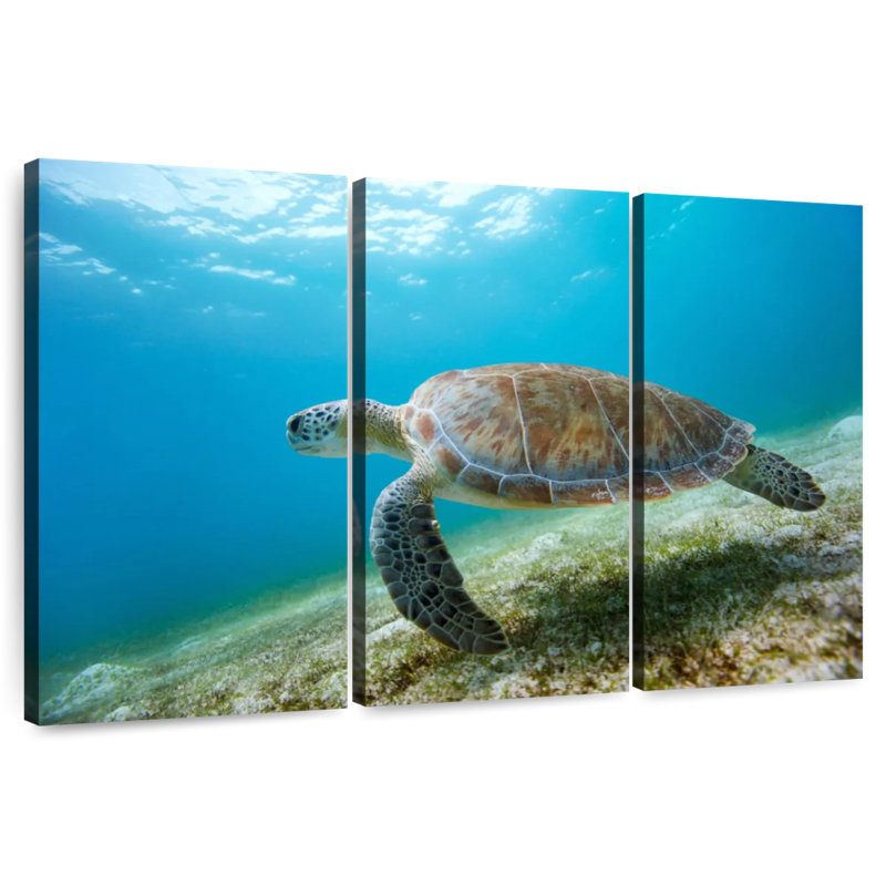 Brampt Hawksbill Turtle In Motion, 32" H x 50" W