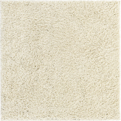 Oriental Indoor Rug