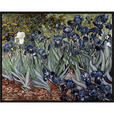 Vault W Artwork Irises On Canvas by Vincent Van Gogh Print | Wayfair