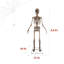 Figurine Skeletons Bones McNeely the Towering