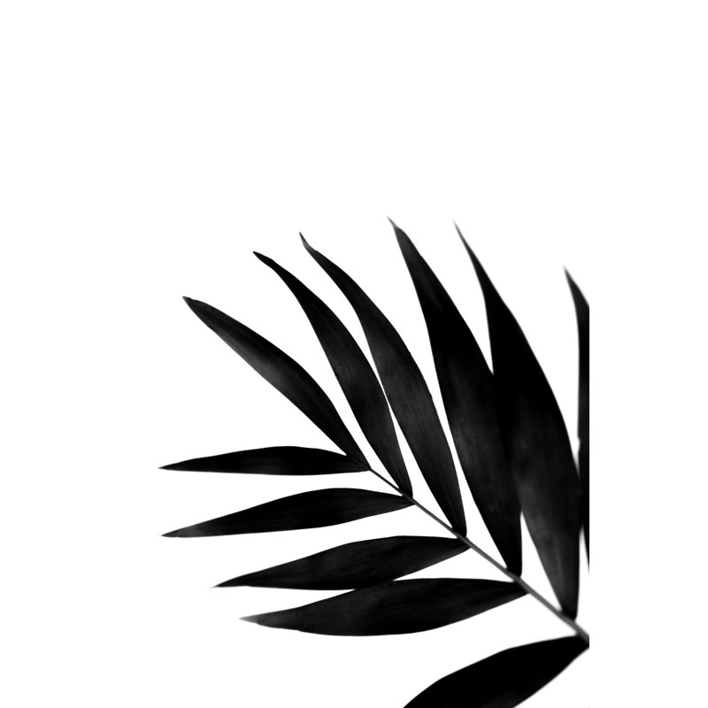 Black Palms II by Renée W. Stramel - Graphic Art, Wrapped Canvas, 76cm H x 51cm W
