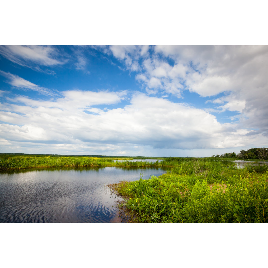 Freshwater Marsh von Beachcottagegraphy - Leinwandbild