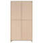 Armoire haute Myerson Grey Driftwood à 2 portes en bois d'ingénierie