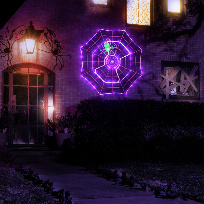 4 ft. Outdoor Animated Spider Web - Purple Web