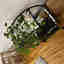 Customer photo 3 of 3