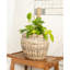 Round Belly Planter With Plastic Insert