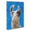 White Camel - Wrapped Canvas-61876244