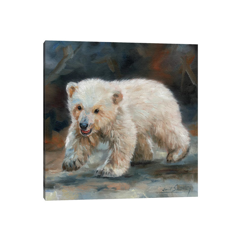 Polar Bear Baby by David Stribbling - Wrapped Canvas Painting, 30.48 cm H x 30.48 cm W