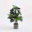 Signe Ceramic Planter-24289540-24289542
