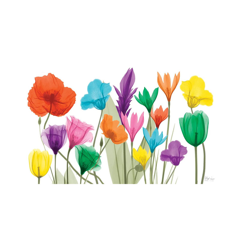Pretty Floral Jewels I by Albert Koetsier - Wrapped Canvas Print, 66.04 cm H x 45.72 cm W x 3.175 cm D