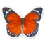 Coussin décoratif décoratif animal JWH 3D-1872070858