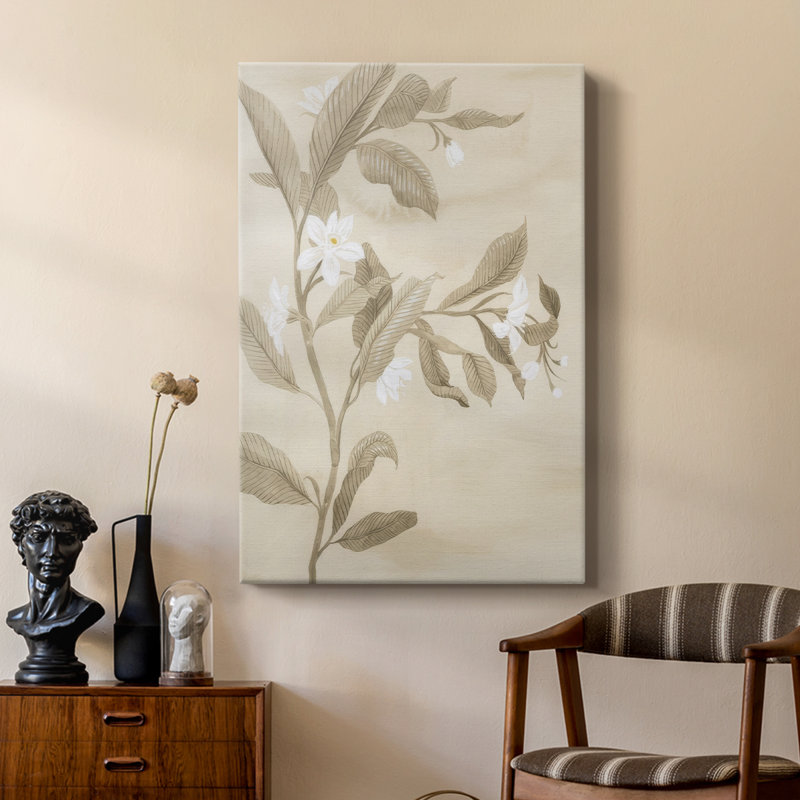 Sépia, fleur d'oranger, croquis I - galerie sur mesure, H 12 po x l 8 po