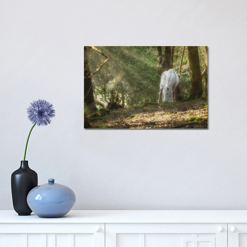 Mystical Pony by David Gardiner - Single Picture Frame Print on Canvas, 30.48cm H x 45.72cm W
