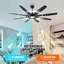Fianna 72'' Ceiling Fan with Light Remote Control, 8-Blades Large Industrial Ceiling Fan Reversible Quiet DC Motor 3CCT/6-Speed-1771668546-1771668547-1787018549