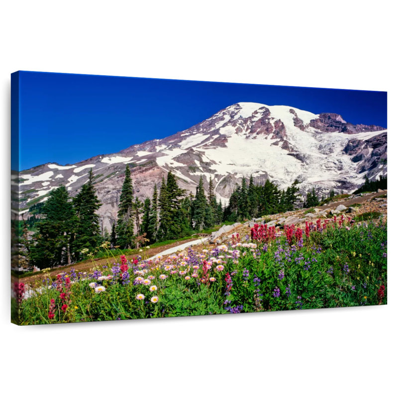 Alvord Summer Wildflowers Bloom In Paradise Park, 32" H x 48" W