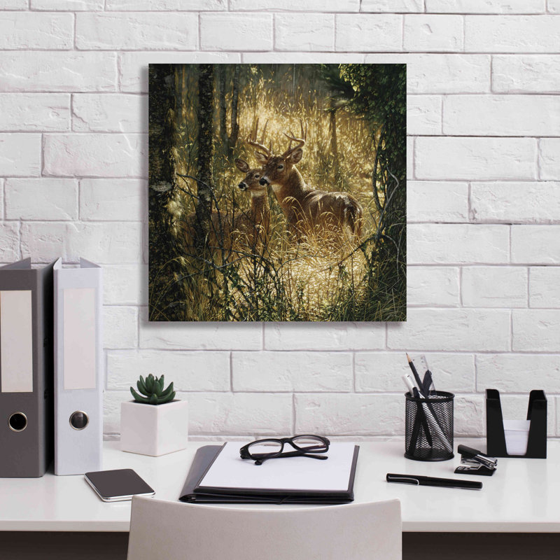 «A Golden Moment» par Collin Bogle, art mural sur toile, H 18 po x l 18 po x P 0,5 po