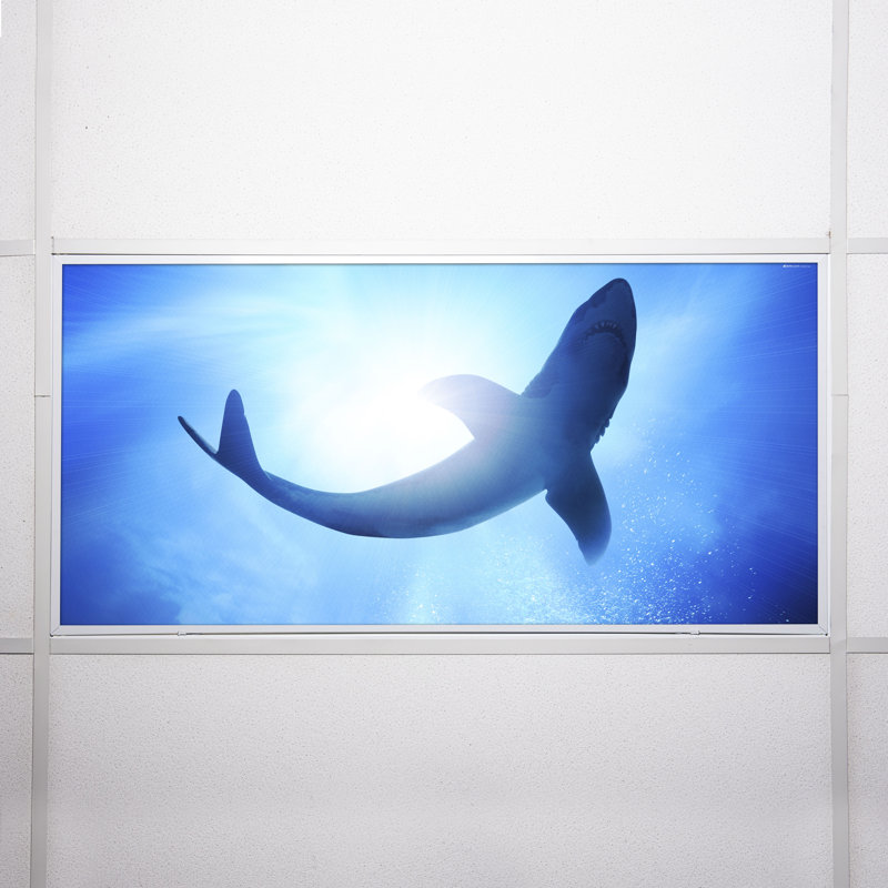 Couvre-lampes fluorescents pour salle de classe Ocean - pour luminaire 2 x 4 - par Octo Lights