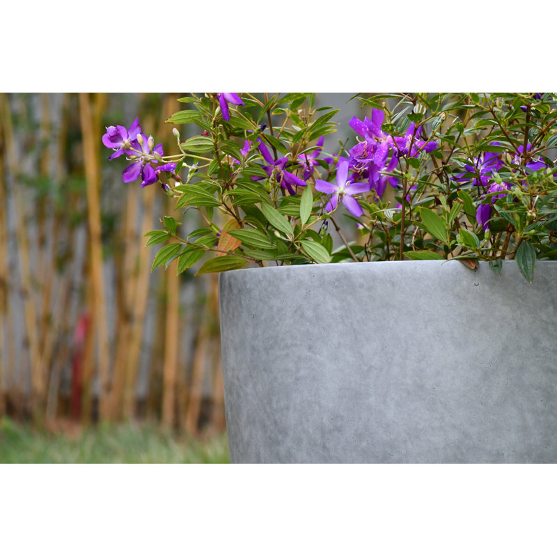 Pot à fleurs en béton Karola, H 12 po x l 14 po x P 14 po, Ciment