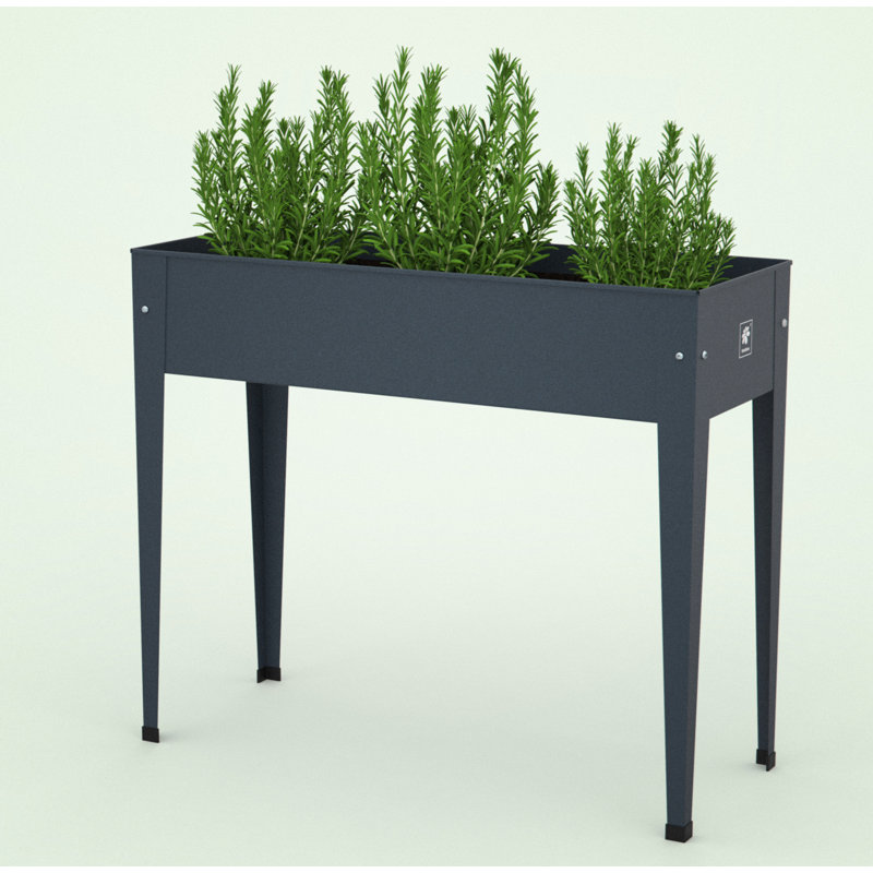 Jardinière surélevée en métal galvanisé Herstera anthracite, Anthracite