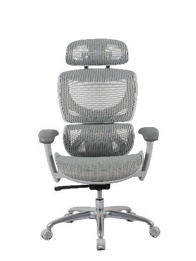 Chaise de bureau Malillany
