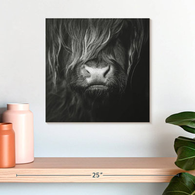 Visage de vache Brampt Highland