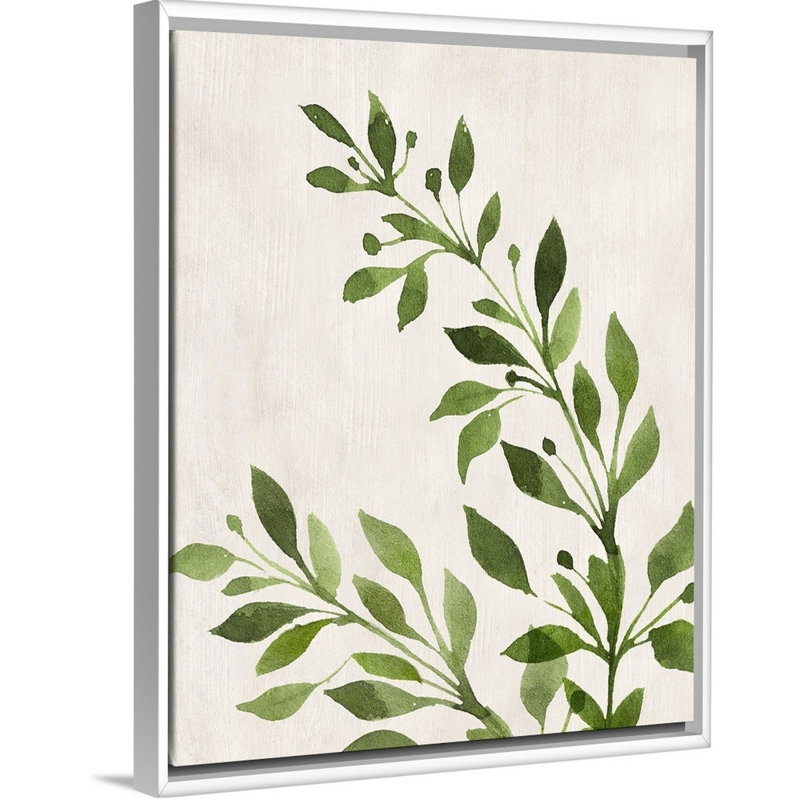 Botanical Wash I - reproduction d'art sur toile, H 31,7 po x l 25,7 po x P 1,75 po, Cadre flottant blanc