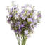 Arrangement-640570226-640570227