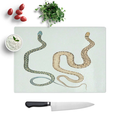 Tempered Glass Snake Illustrations by John Edward Gray Chopping Board