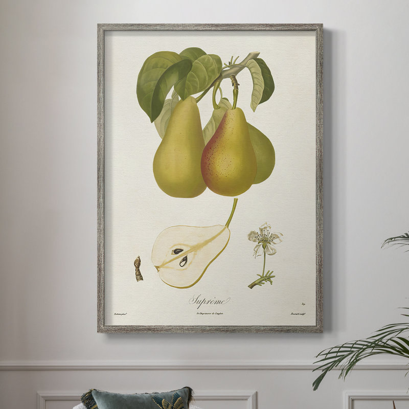 Vintage Pears V, reproduction encadrée - bois massif, H 21 po x l 17 po