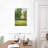 Senne Amacoy Green I-108433707