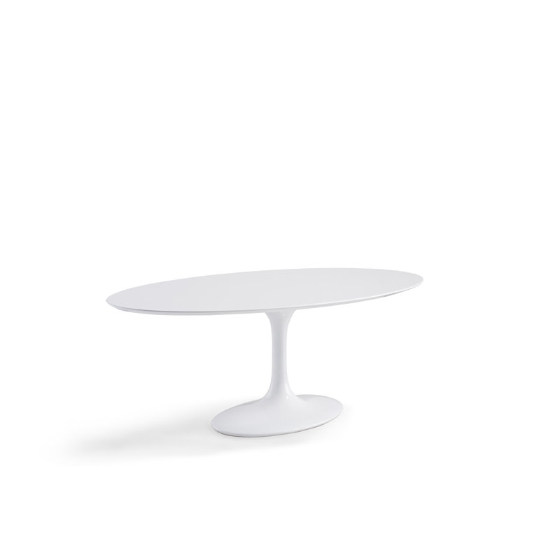 Cheatham Courtemanche Lippa White Oval Dining Table, 30" H x 78" L x 48" W 