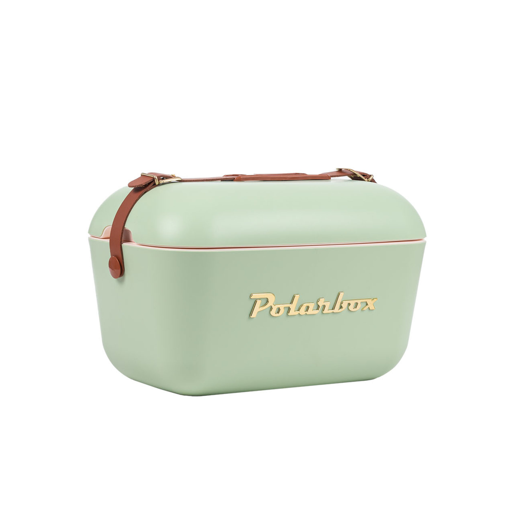  21 Quarts Ice Chest, Green