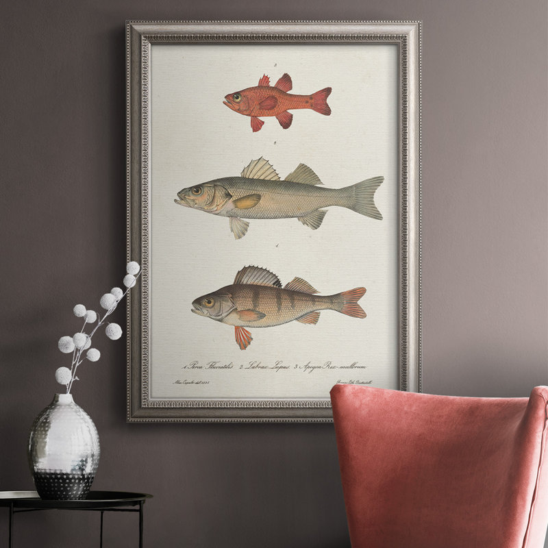 " Species Of Antique Fish II ", 20" H x 16" W x 2.5" D