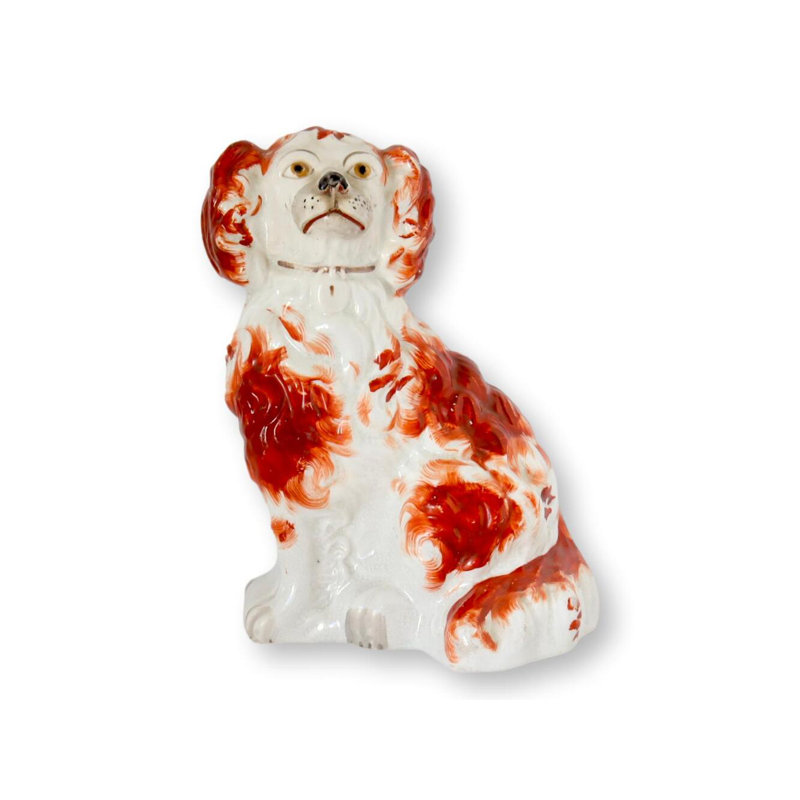 Épagneul Staffordshire anglais antique / chien