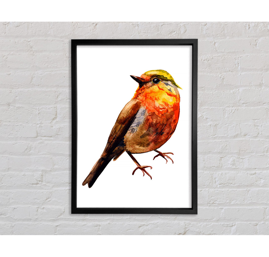 Robin Red Breast - Einzelner Bilderrahmen Kunstdrucke auf Leinwand