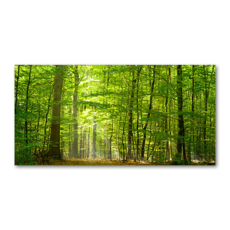 Deciduous Forest - No Frame Print on Canvas