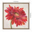«Red Gerber Daisy», reproduction encadrée sur toile par Patricia Pinto-555293732